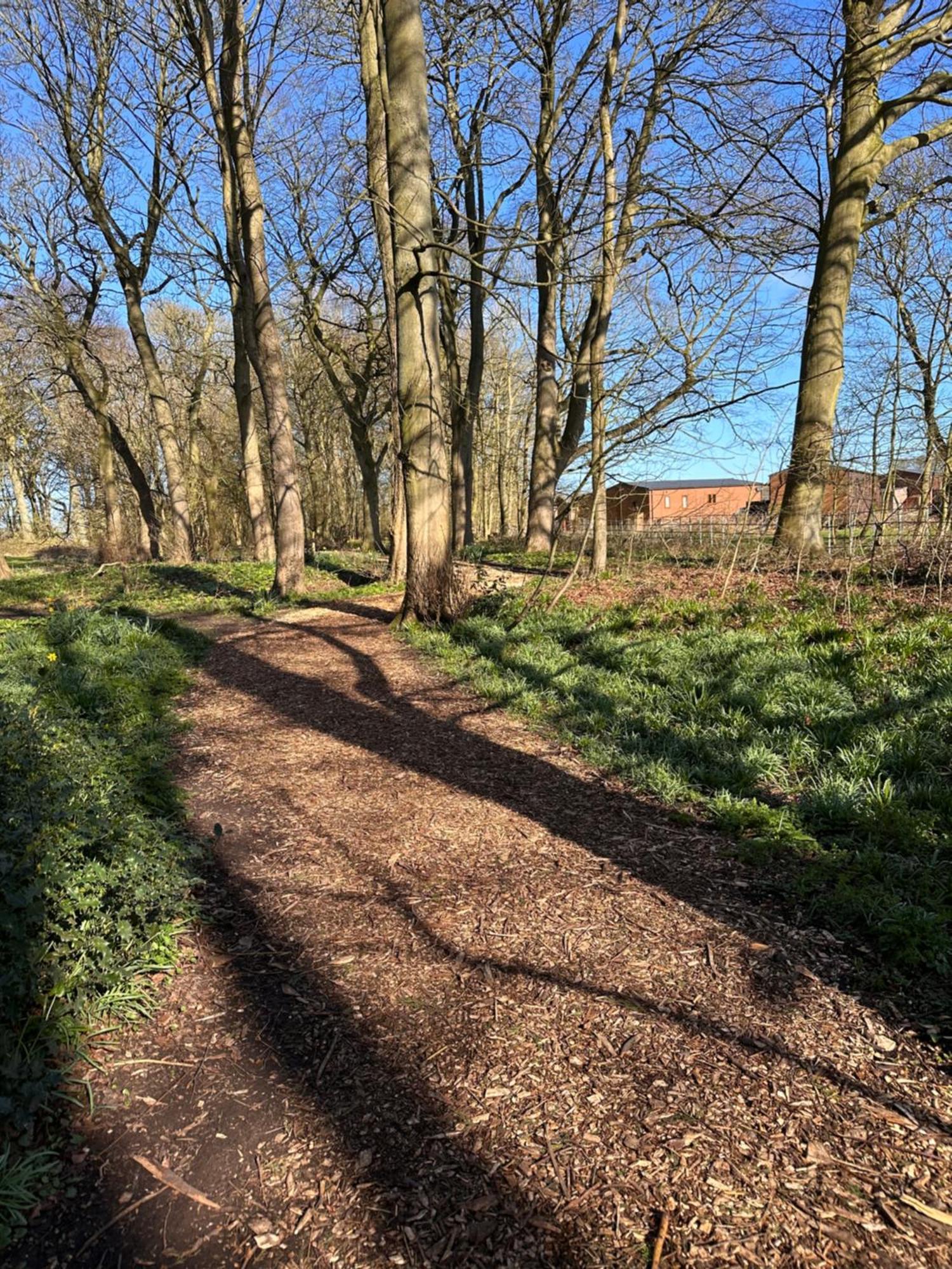 Max'S Woodland Lodge Bridlington Ngoại thất bức ảnh