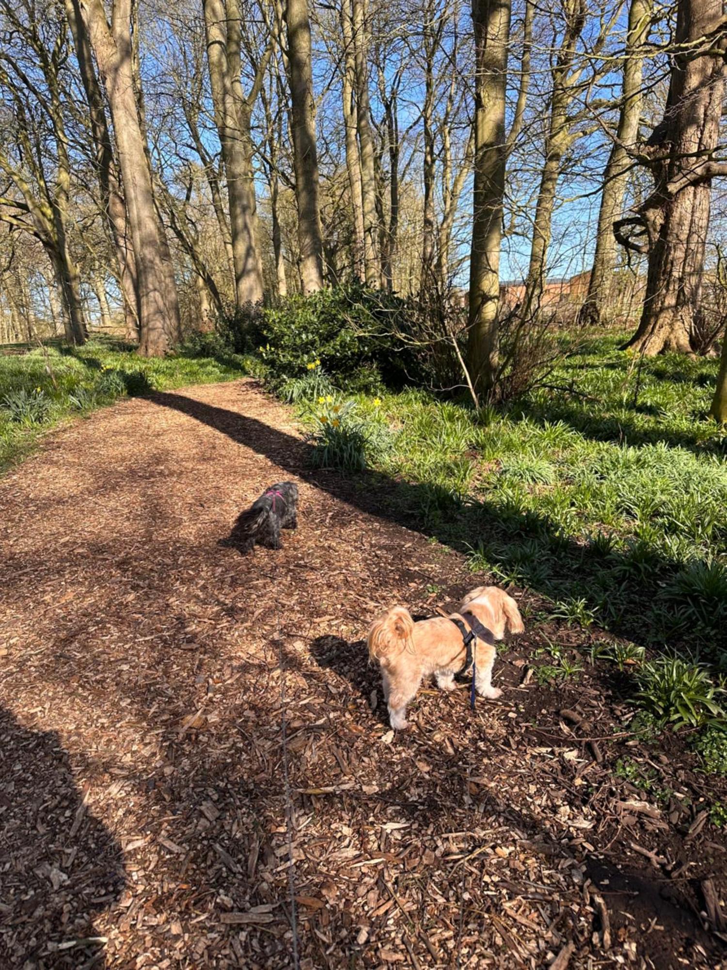 Max'S Woodland Lodge Bridlington Ngoại thất bức ảnh