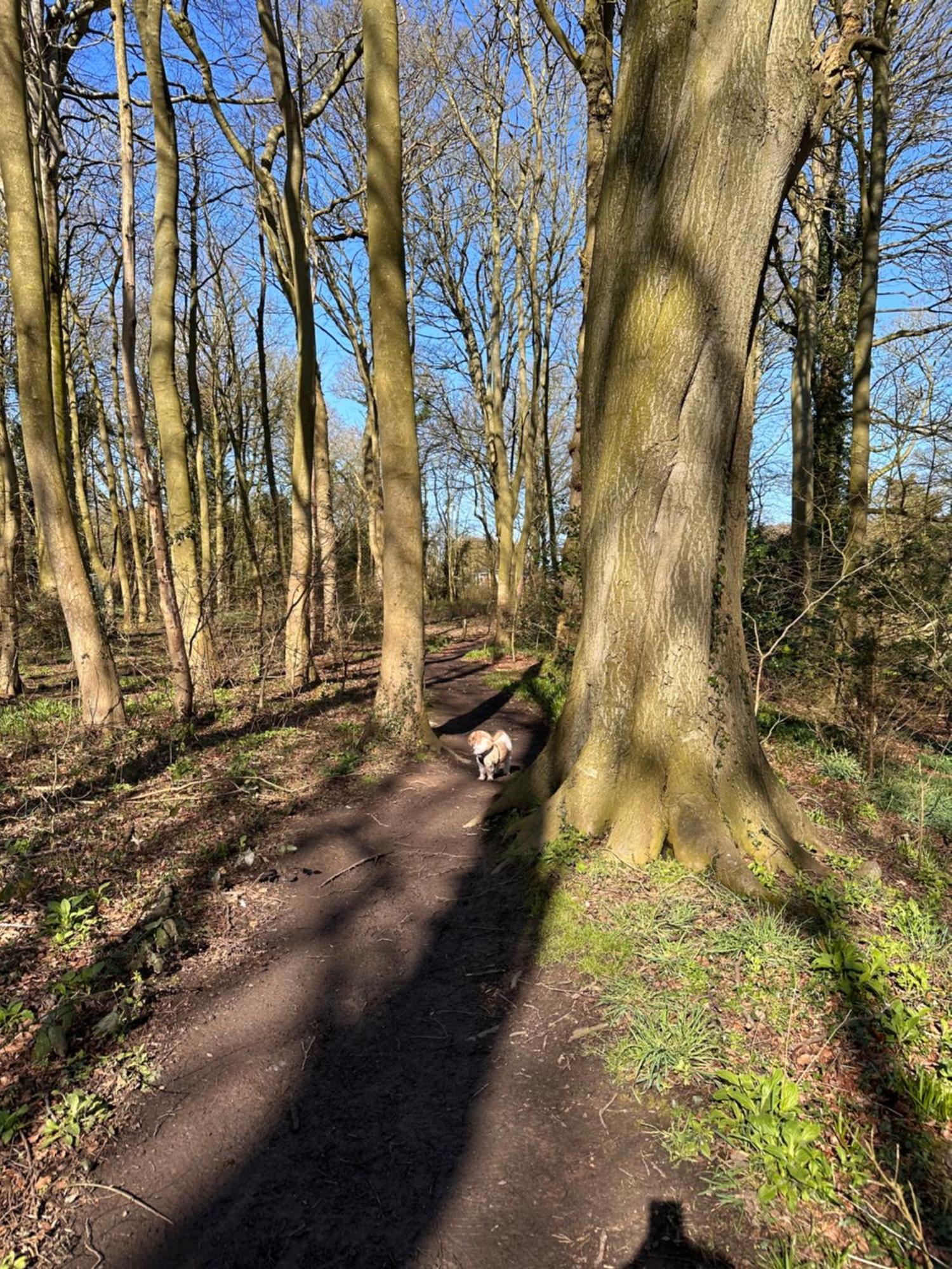 Max'S Woodland Lodge Bridlington Ngoại thất bức ảnh