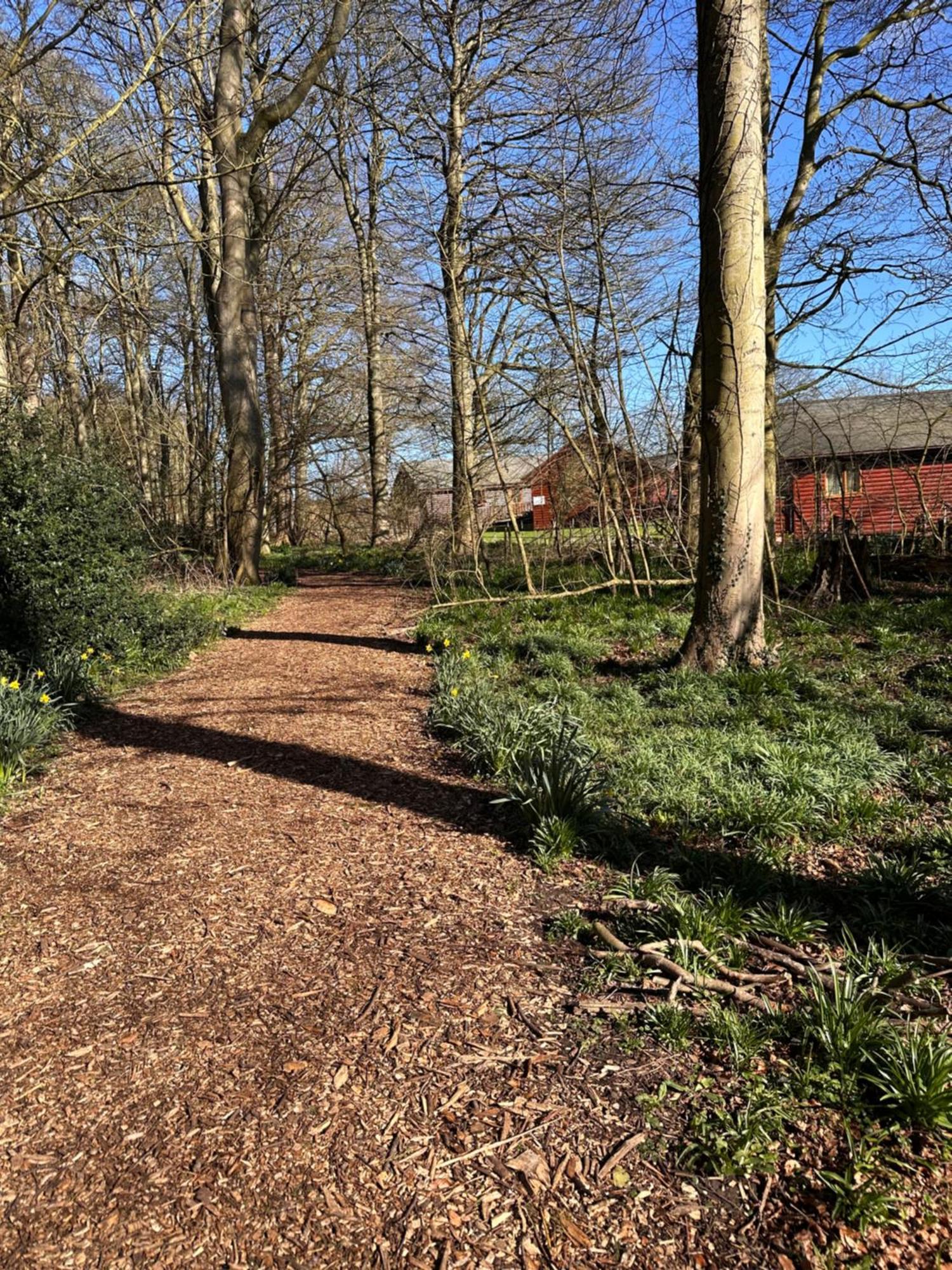 Max'S Woodland Lodge Bridlington Ngoại thất bức ảnh